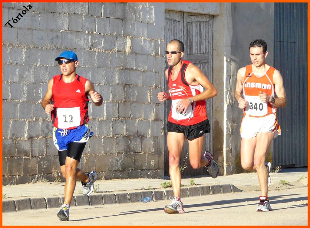 Imagen 262