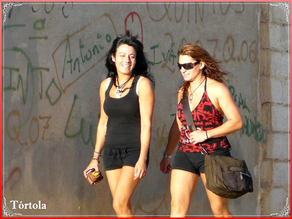 Imagen 529