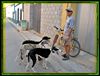 Foto Diego Tortola Descalzo