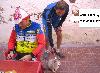 Club ciclista Lo Rat Penat de Valencia, foto 164 Diego Tortola Descalzo, foto 164